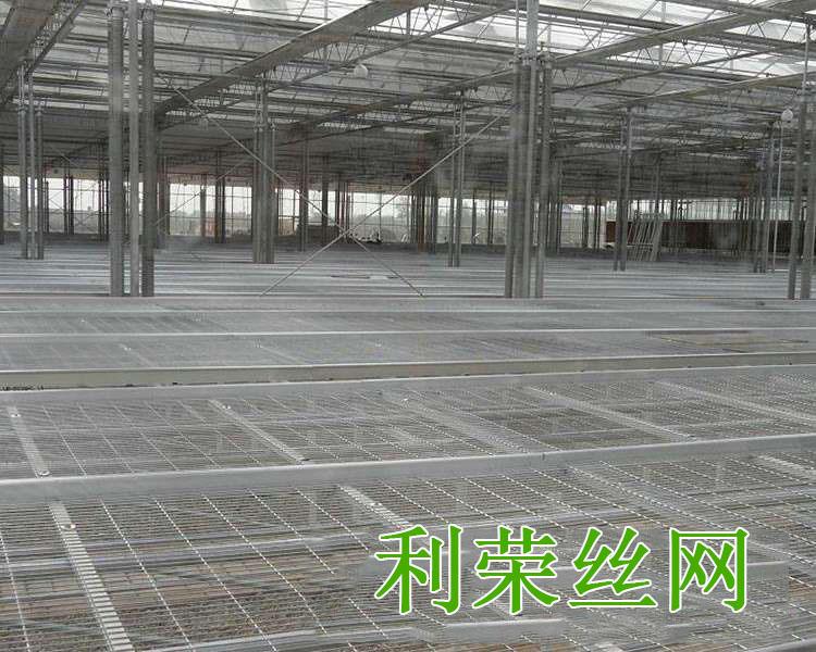 簡(jiǎn)易苗床圖片3
